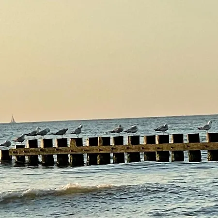 公寓 Hilltom Dunes